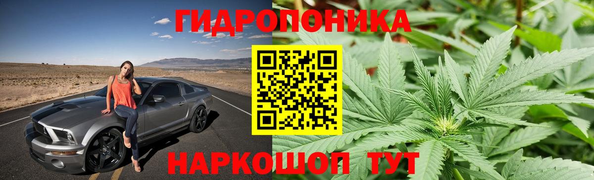 Марихуана SATIVA & INDICA Сунжа